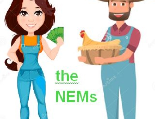 Net Energy Metering and Battery Storage