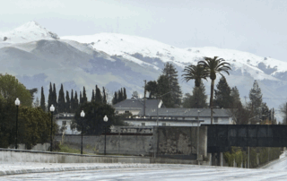 Snowfall on Mount Diablo, February 2023
