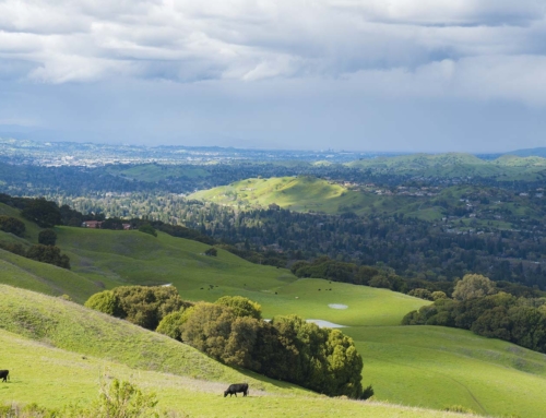 Best solar companies in the Bay Area