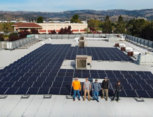 A Commercial Solar Guide: 8 Essential Steps